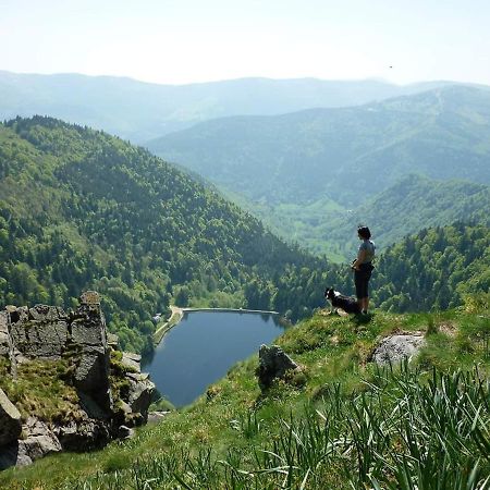 Muhlbach-sur-Munster Le Montagnard Au Pied Des Pistes, Station Du Gaschney, Altitude 1000 M 아파트 외부 사진