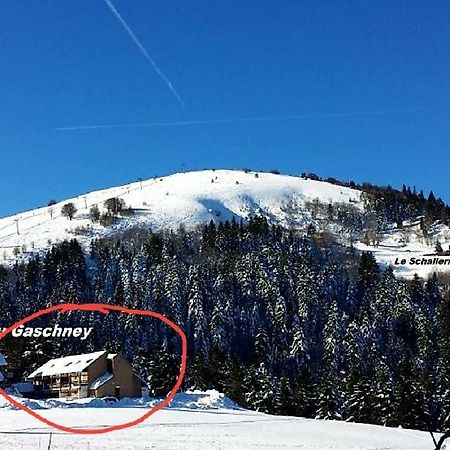 Muhlbach-sur-Munster Le Montagnard Au Pied Des Pistes, Station Du Gaschney, Altitude 1000 M 아파트 외부 사진