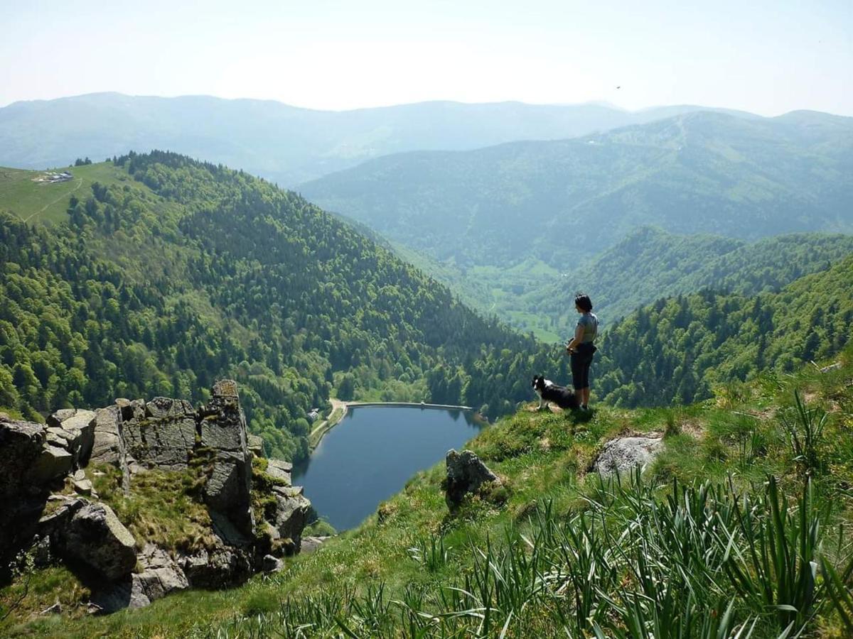 Muhlbach-sur-Munster Le Montagnard Au Pied Des Pistes, Station Du Gaschney, Altitude 1000 M 아파트 외부 사진