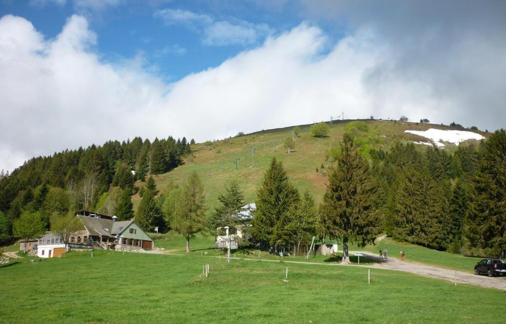 Muhlbach-sur-Munster Le Montagnard Au Pied Des Pistes, Station Du Gaschney, Altitude 1000 M 아파트 외부 사진