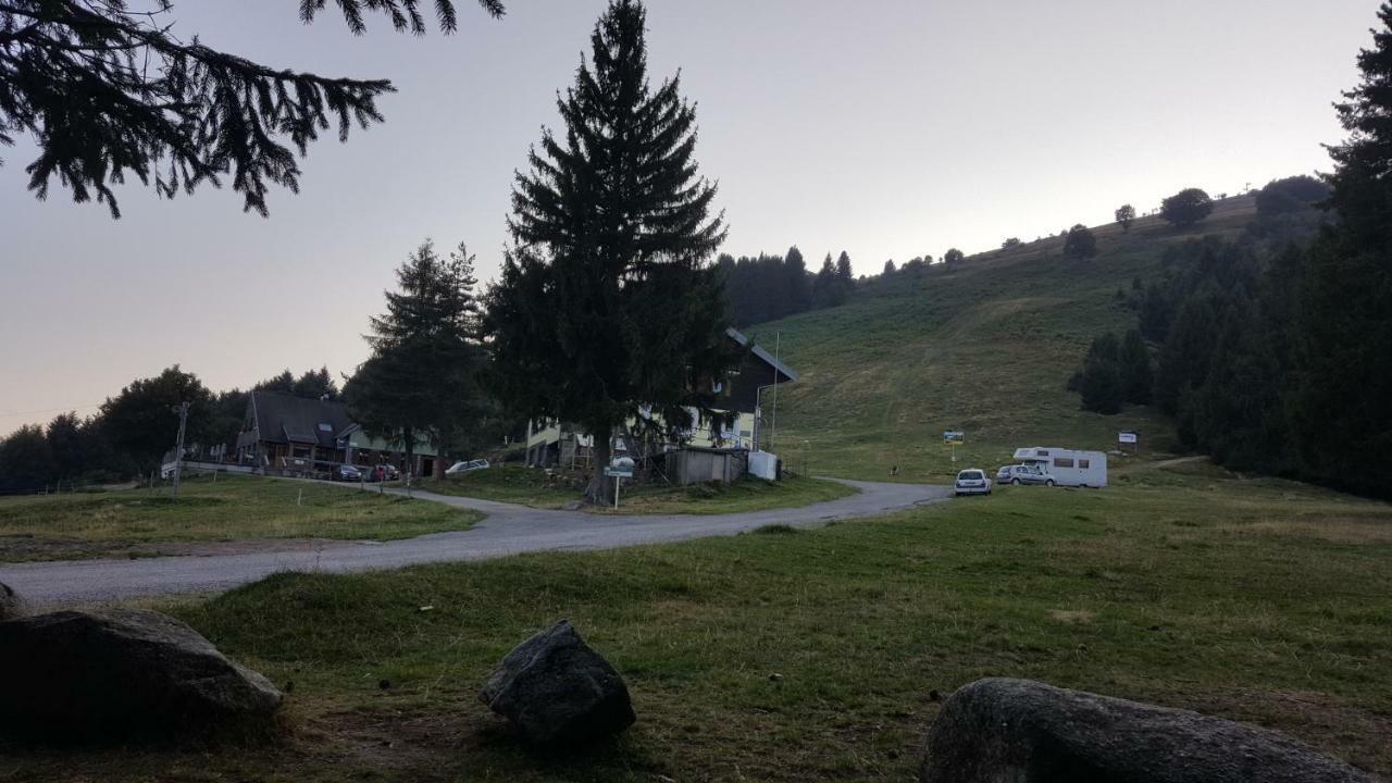 Muhlbach-sur-Munster Le Montagnard Au Pied Des Pistes, Station Du Gaschney, Altitude 1000 M 아파트 외부 사진