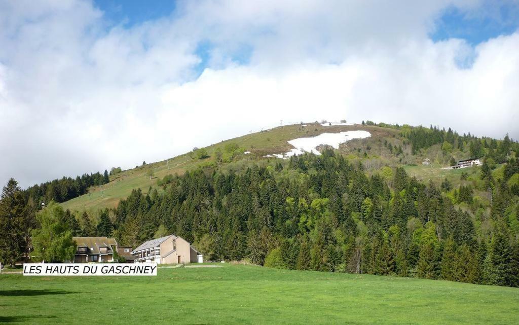 Muhlbach-sur-Munster Le Montagnard Au Pied Des Pistes, Station Du Gaschney, Altitude 1000 M 아파트 외부 사진