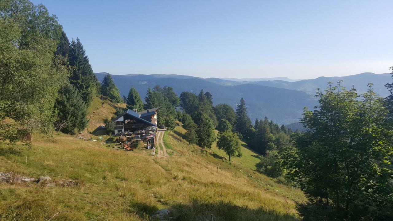 Muhlbach-sur-Munster Le Montagnard Au Pied Des Pistes, Station Du Gaschney, Altitude 1000 M 아파트 외부 사진