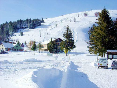 Muhlbach-sur-Munster Le Montagnard Au Pied Des Pistes, Station Du Gaschney, Altitude 1000 M 아파트 외부 사진