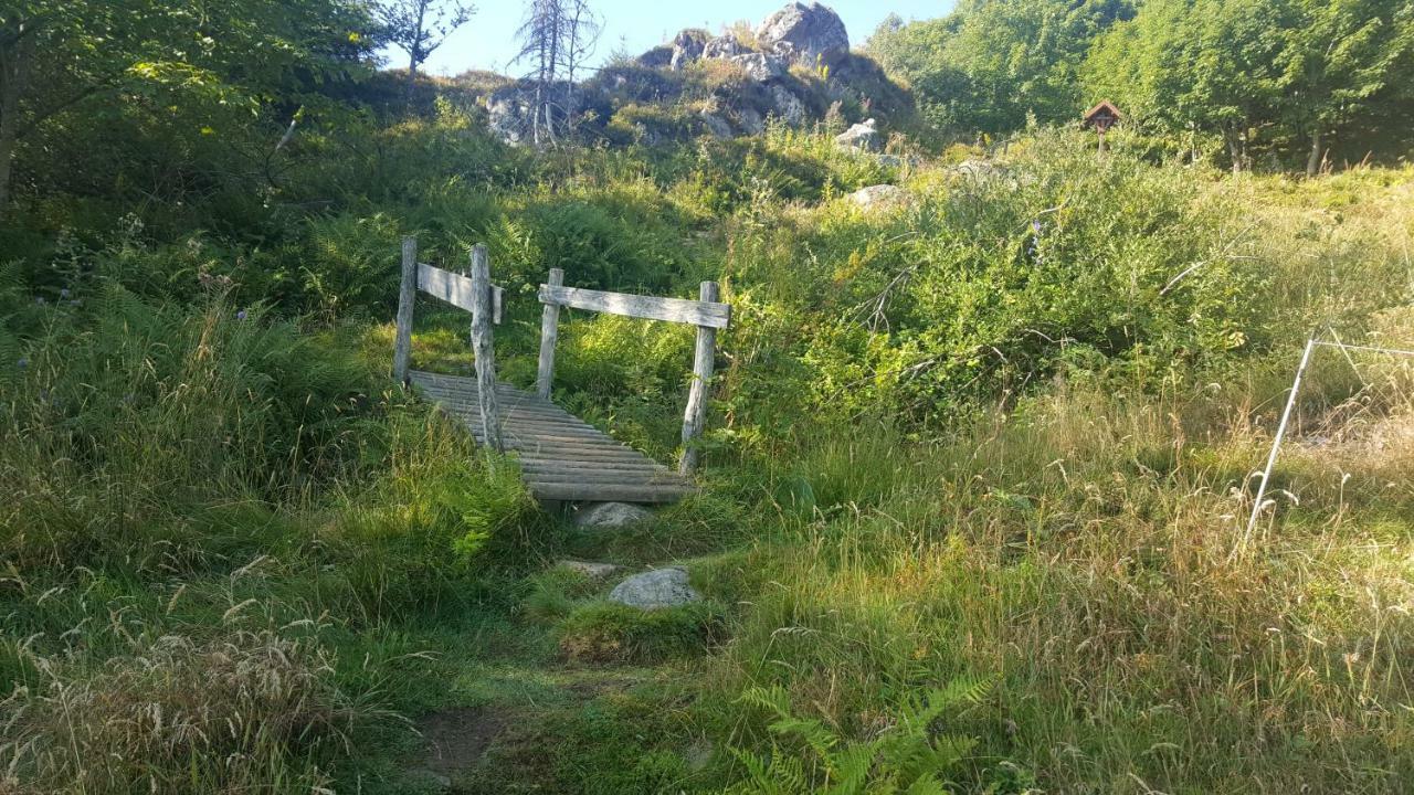Muhlbach-sur-Munster Le Montagnard Au Pied Des Pistes, Station Du Gaschney, Altitude 1000 M 아파트 외부 사진