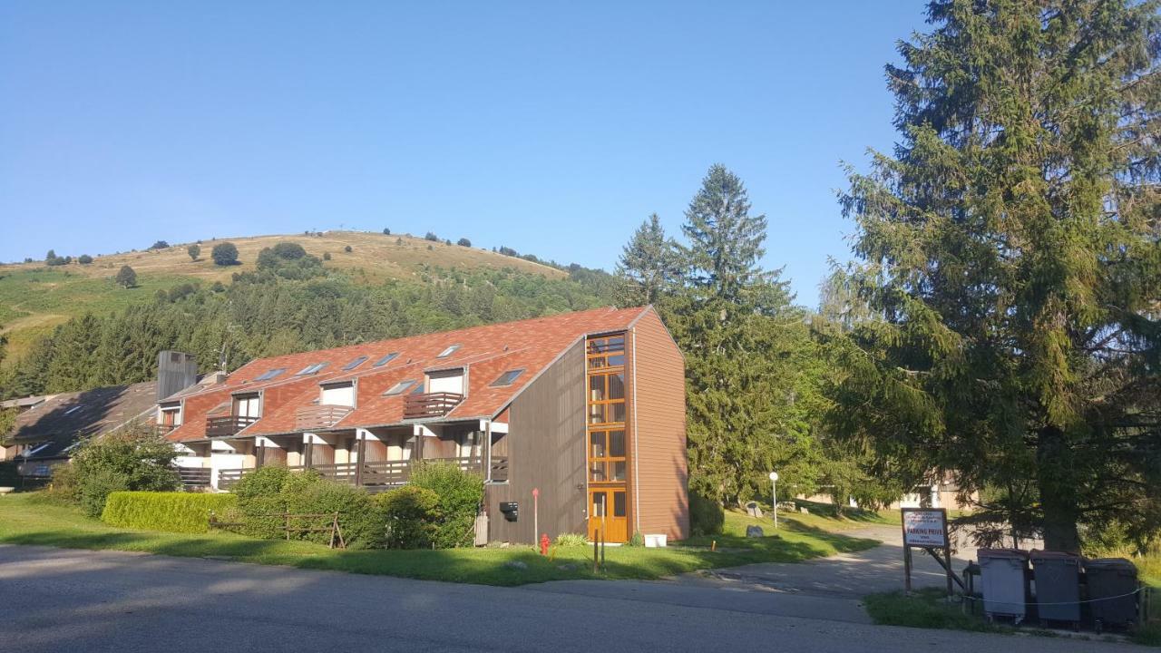 Muhlbach-sur-Munster Le Montagnard Au Pied Des Pistes, Station Du Gaschney, Altitude 1000 M 아파트 외부 사진