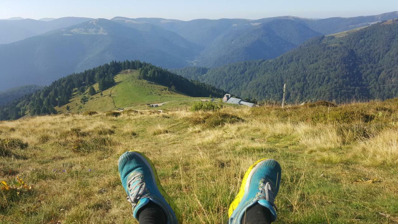 Muhlbach-sur-Munster Le Montagnard Au Pied Des Pistes, Station Du Gaschney, Altitude 1000 M 아파트 외부 사진