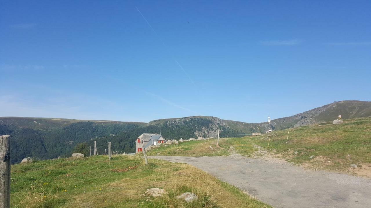 Muhlbach-sur-Munster Le Montagnard Au Pied Des Pistes, Station Du Gaschney, Altitude 1000 M 아파트 외부 사진