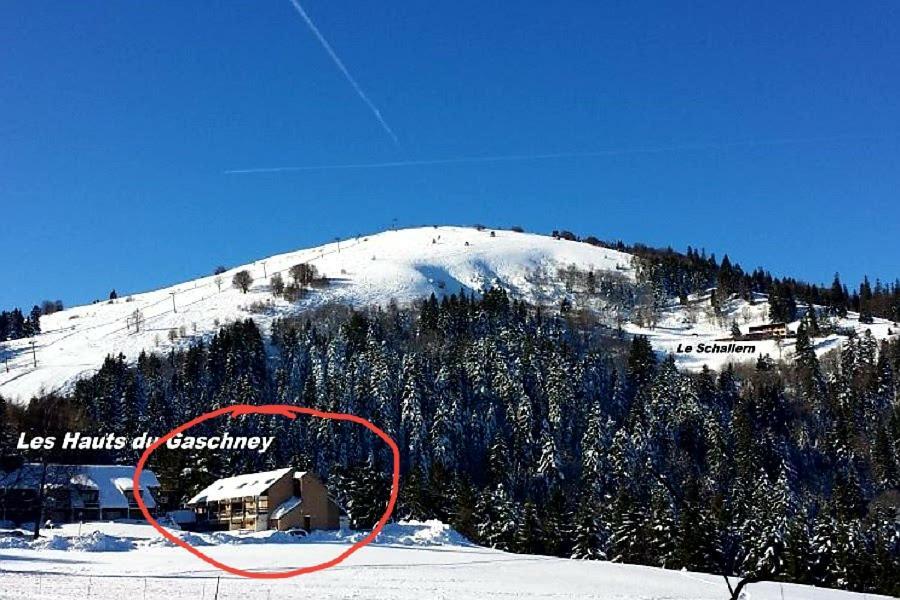 Muhlbach-sur-Munster Le Montagnard Au Pied Des Pistes, Station Du Gaschney, Altitude 1000 M 아파트 외부 사진