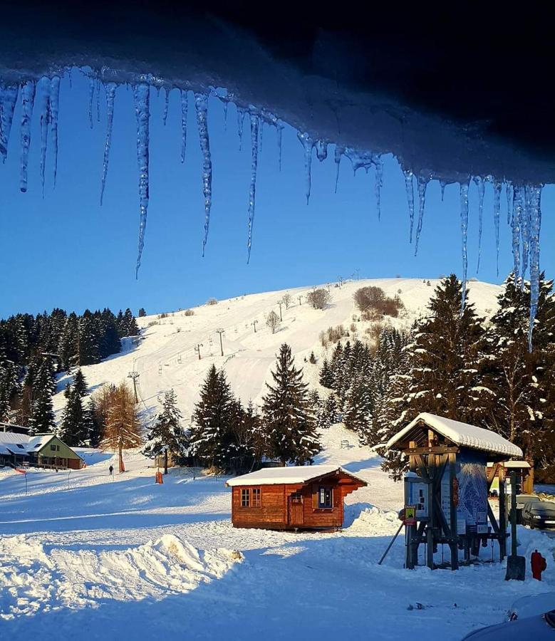 Muhlbach-sur-Munster Le Montagnard Au Pied Des Pistes, Station Du Gaschney, Altitude 1000 M 아파트 외부 사진